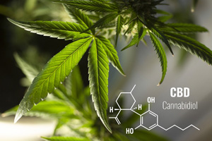 CBD Plant Molecule