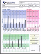 Hair Analysis Test Report