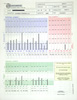 Comprehensive Hair Analysis Report